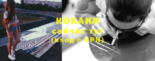 хмурый Мегион
