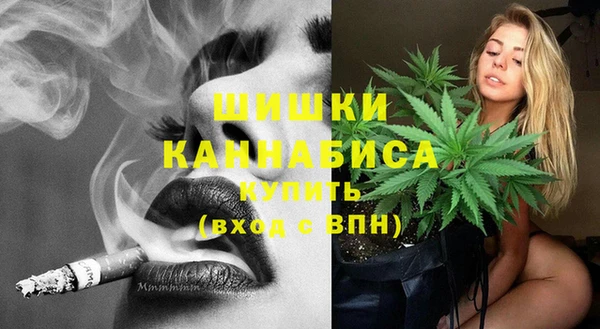 сатива Медногорск