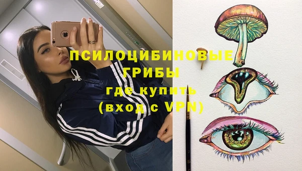 хмурый Мегион