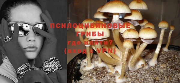 хмурый Мегион