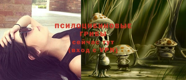 сатива Медногорск
