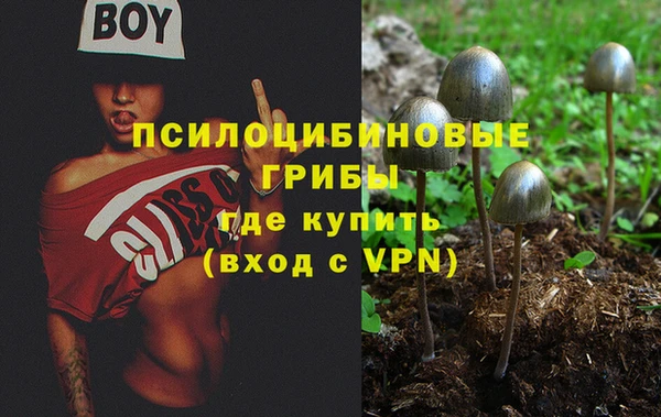 сатива Медногорск