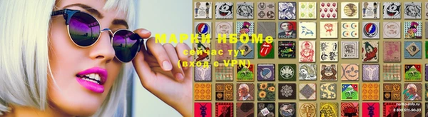сатива Медногорск